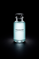 L0uis Vu1tton Imagination